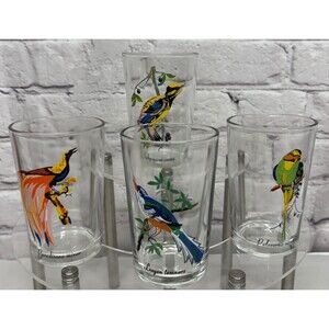 Vtg KIG Exotic Tropical Bird Glasses Tumblers MCM Barware Boho Tiki Kitschy Lot